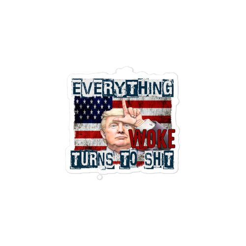 Everything Woke Sticker