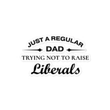 Load image into Gallery viewer, Dad Trying not to Raise Liberals Sticker