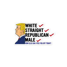 Load image into Gallery viewer, White, Straight, Republican, Male Sticker