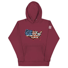 Load image into Gallery viewer, American Guns Hoodie